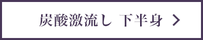 炭酸激流し 下半身